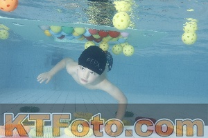 Photo 4223489