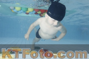 Photo 4223495