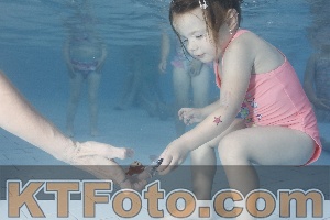 Foto 4223550