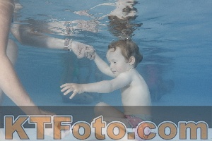 Foto 4223552