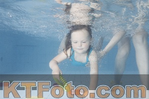 Foto 4223763