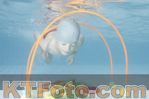 Photo 4223957