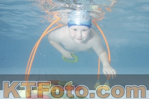 Photo 4223959