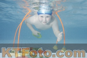 Photo 4223960