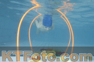 Photo 4223966
