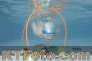 Photo 4223980