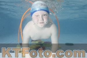 Photo 4223982