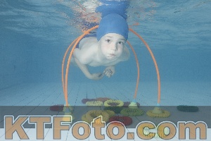 Photo 4223984