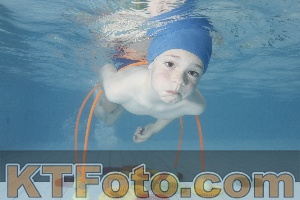 Photo 4223985