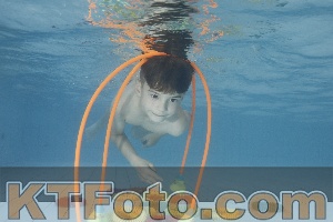 Photo 4223987