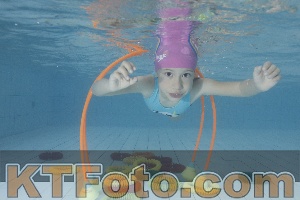 Photo 4223997