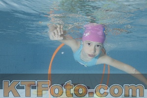 Photo 4223999