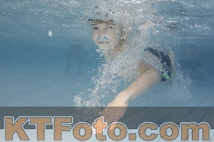 Photo 4224018