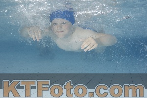 Photo 4224029