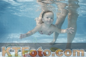 Photo 4224245