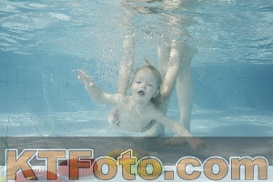 Photo 4224249