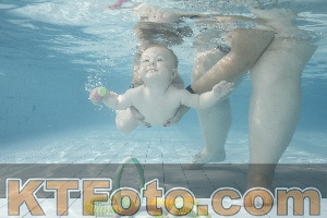 Foto 4224378