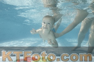 Foto 4224543