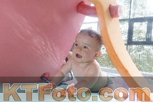 Photo 4224664