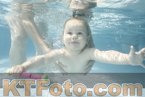 Photo 4224705