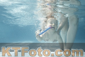 Photo 4224706
