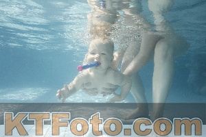 Photo 4224708