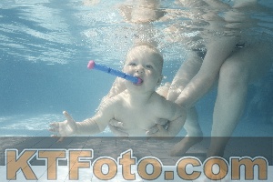 Photo 4224709