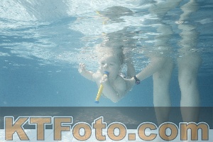 Photo 4224710