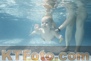Photo 4224712