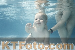 Photo 4224714
