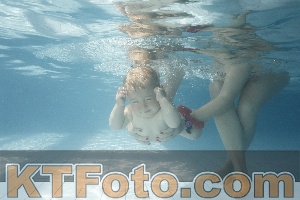 Photo 4224718