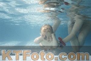 Photo 4224719