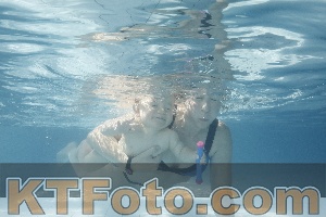 Photo 4224735
