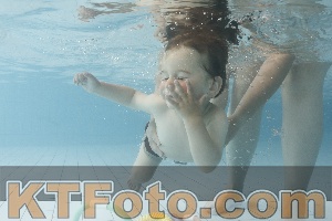 Foto 4224985