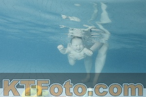 Foto 4225106