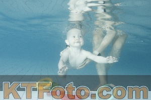 Foto 4225113