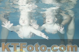 Foto 4225141