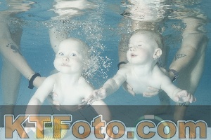 Foto 4225142