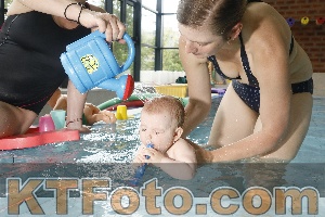 Photo 4225426