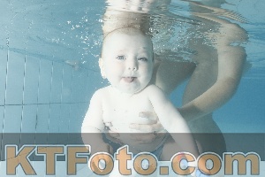 Photo 4225427
