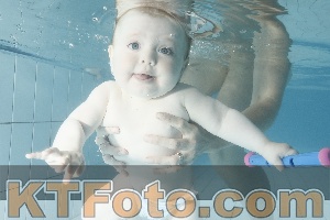 Foto 4225428