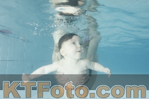 Foto 4225433