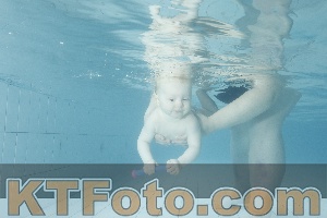 Photo 4225448