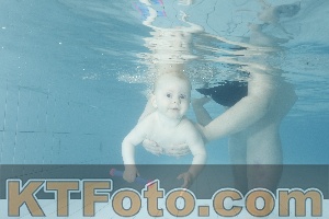 Photo 4225449