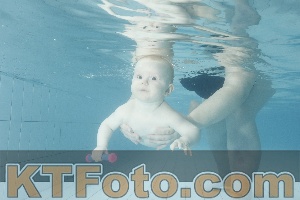 Photo 4225451