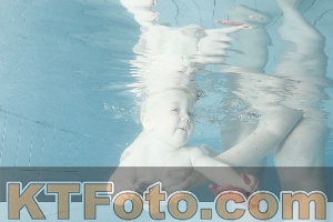 Photo 4225452