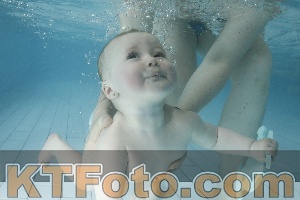 Foto 4225505