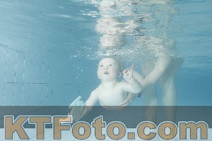 Foto 4225519