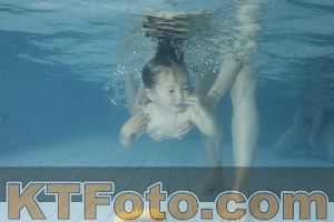 Foto 4225606