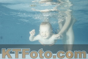 Photo 4225633